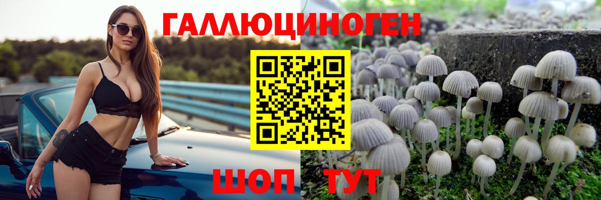 Галлюциногенные грибы GOLDEN TEACHER  Вход с VPN  Георгиевск 